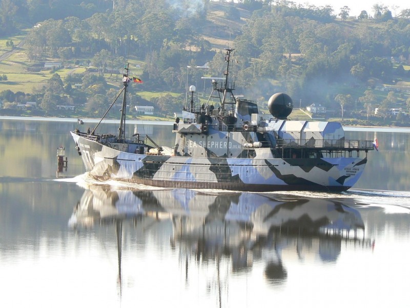 117 Rosevears Drive, Rosevears TAS 7277