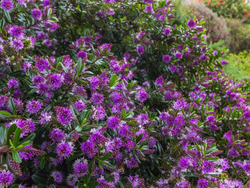 117 Rosevears Drive, Rosevears TAS 7277