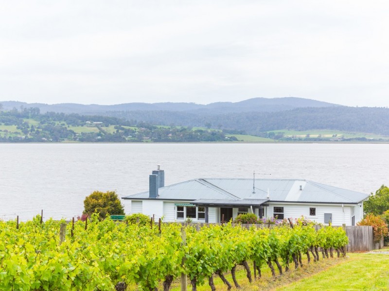 117 Rosevears Drive, Rosevears TAS 7277