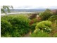 6 Winifred Circle, Riverside TAS 7250