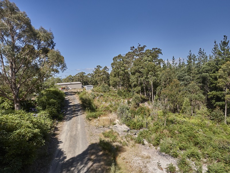 1956 Pipers River Road, Pipers River TAS 7252