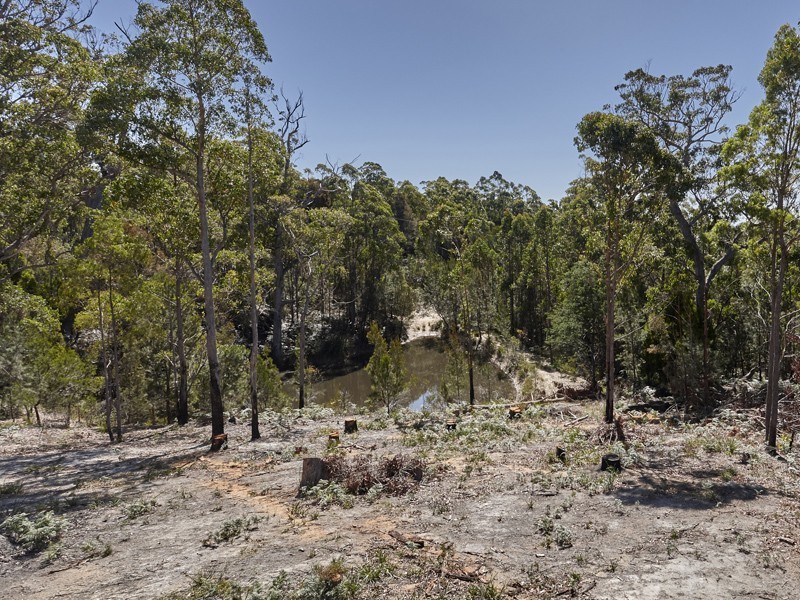 1956 Pipers River Road, Pipers River TAS 7252