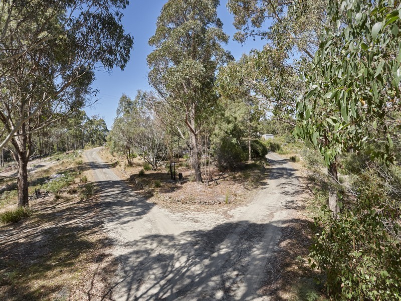 1956 Pipers River Road, Pipers River TAS 7252