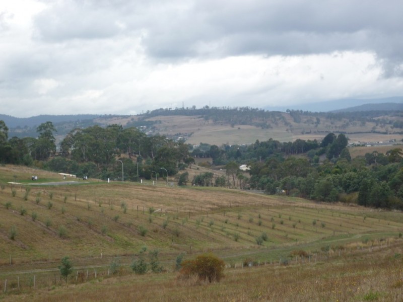 7 Bevel Court, Youngtown TAS 7249
