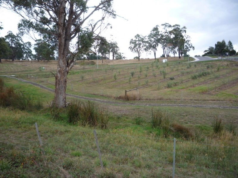 7 Bevel Court, Youngtown TAS 7249