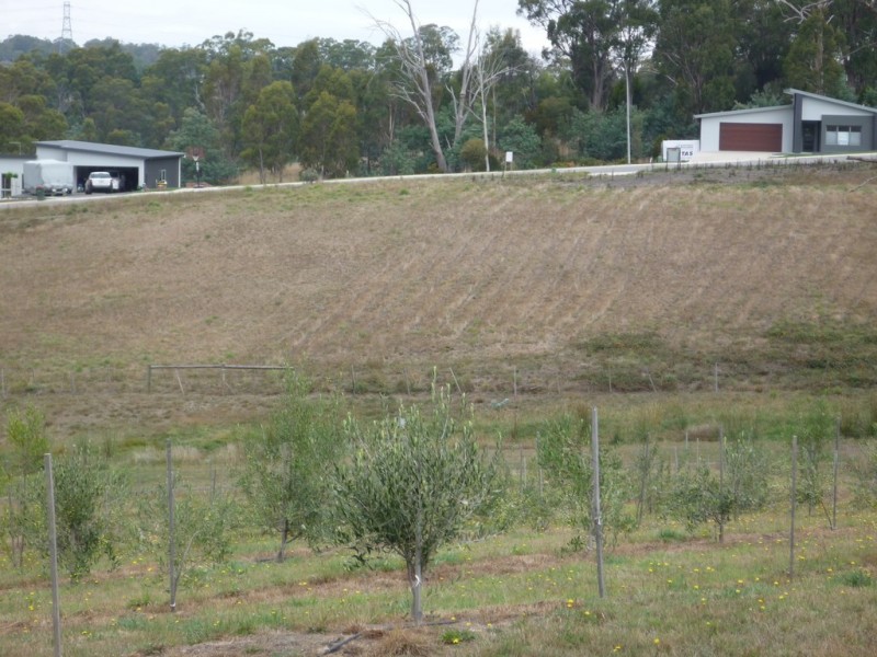 7 Bevel Court, Youngtown TAS 7249