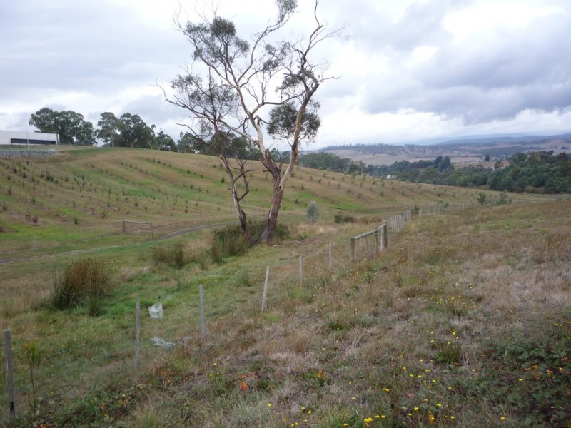 7 Bevel Court, Youngtown TAS 7249