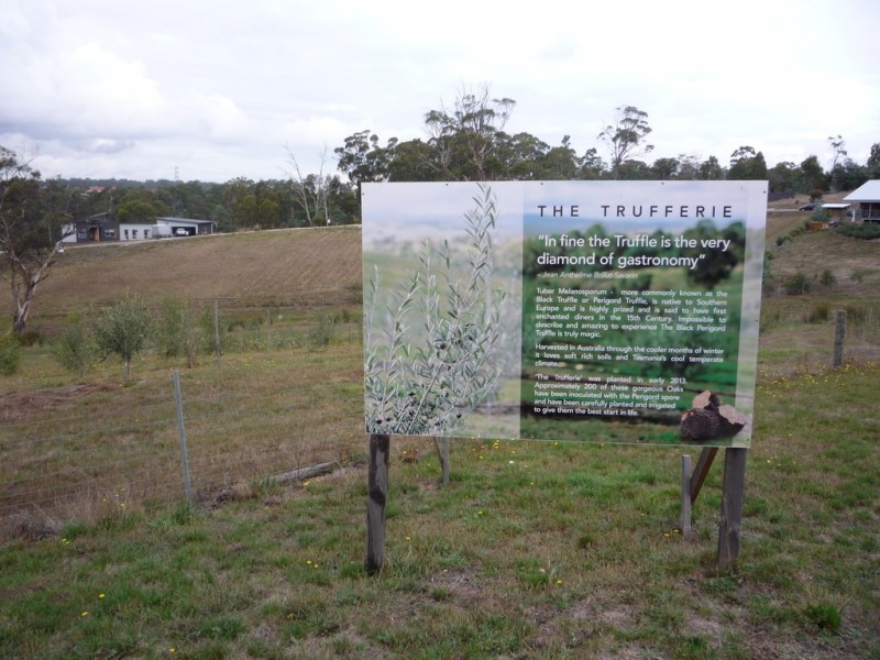 7 Bevel Court, Youngtown TAS 7249