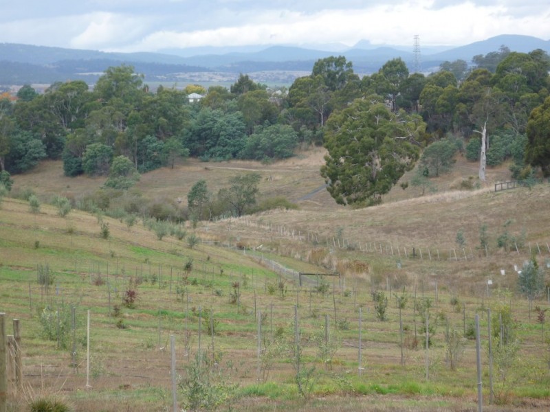 7 Bevel Court, Youngtown TAS 7249