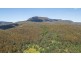 PID7304330 Highland Lakes Road, Golden Valley TAS 7304