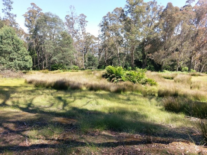 PID7304330 Highland Lakes Road, Golden Valley TAS 7304
