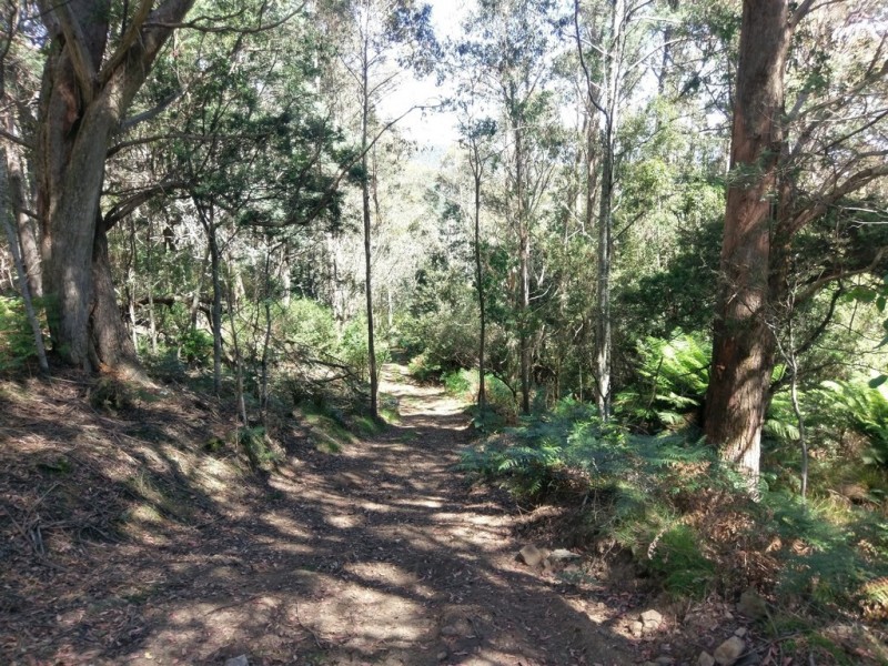 PID7304330 Highland Lakes Road, Golden Valley TAS 7304