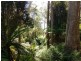 PID7304330 Highland Lakes Road, Golden Valley TAS 7304