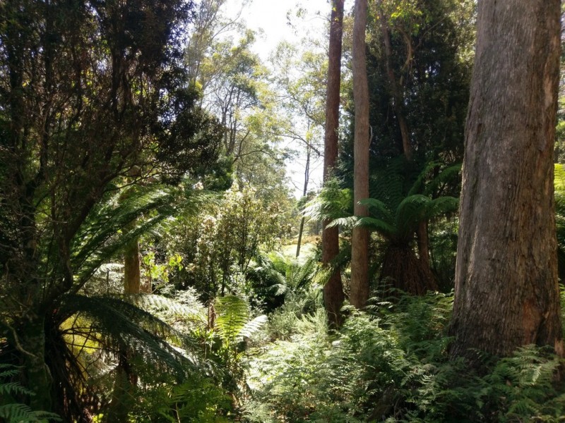 PID7304330 Highland Lakes Road, Golden Valley TAS 7304