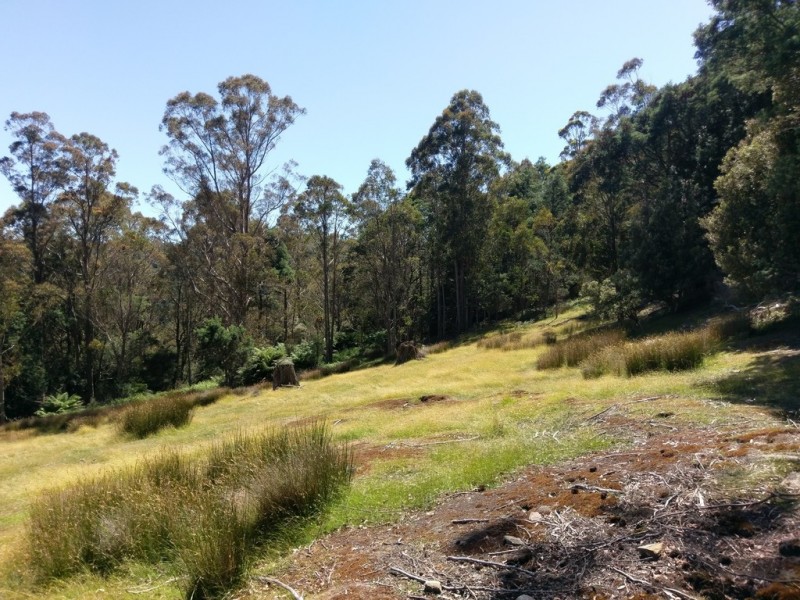 PID7304330 Highland Lakes Road, Golden Valley TAS 7304