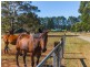 626 Prossers Road, Nunamara TAS 7259