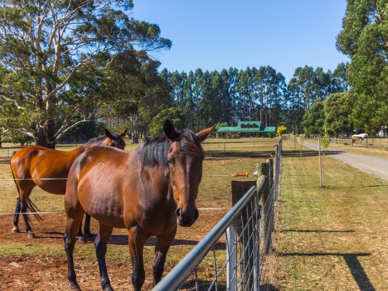626 Prossers Road, Nunamara TAS 7259