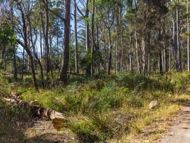 626 Prossers Road, Nunamara TAS 7259