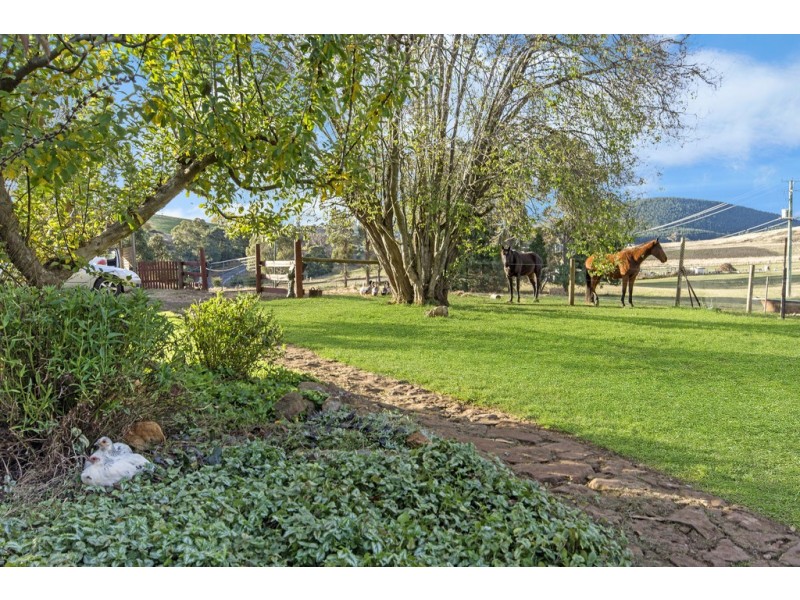 770 Golconda Road, Lebrina TAS 7254