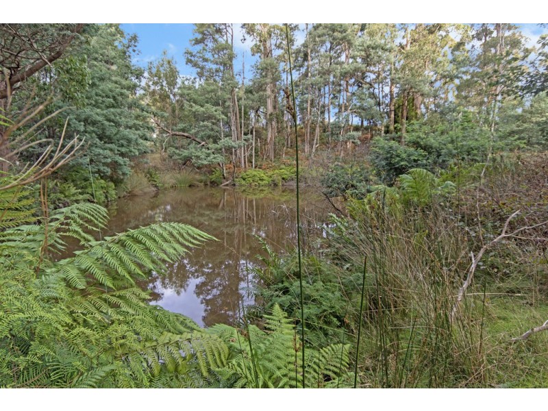 770 Golconda Road, Lebrina TAS 7254