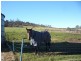 Lot 1 Boomers Road, Waverley TAS 7250