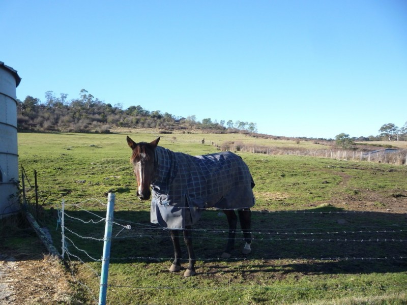 Lot 1 Boomers Road, Waverley TAS 7250