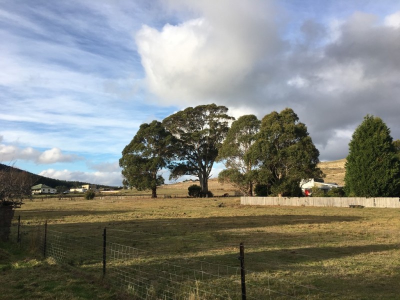 20 Butlers Road, Lebrina TAS 7254