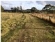 20 Butlers Road, Lebrina TAS 7254