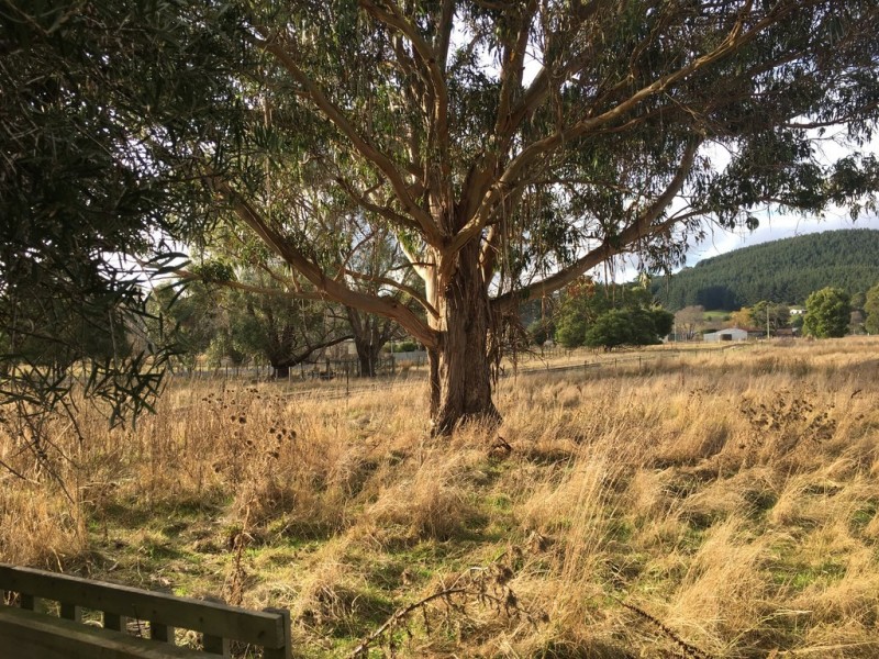 20 Butlers Road, Lebrina TAS 7254