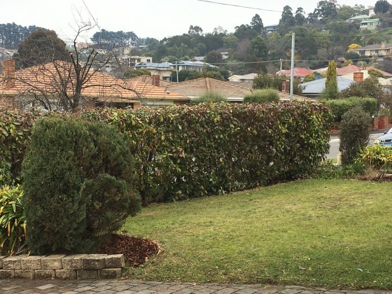 7 Robin Street, Newstead TAS 7250