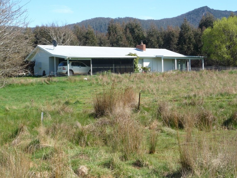 2 Mount Arthur Road, Patersonia TAS 7259