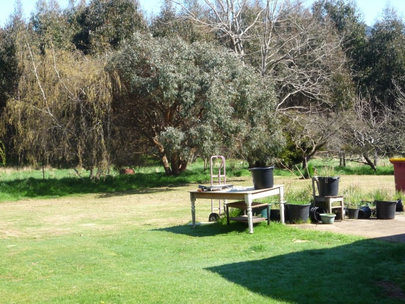 2 Mount Arthur Road, Patersonia TAS 7259