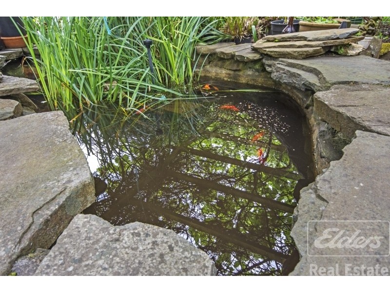 1732 Lilydale Road, Lilydale TAS 7268