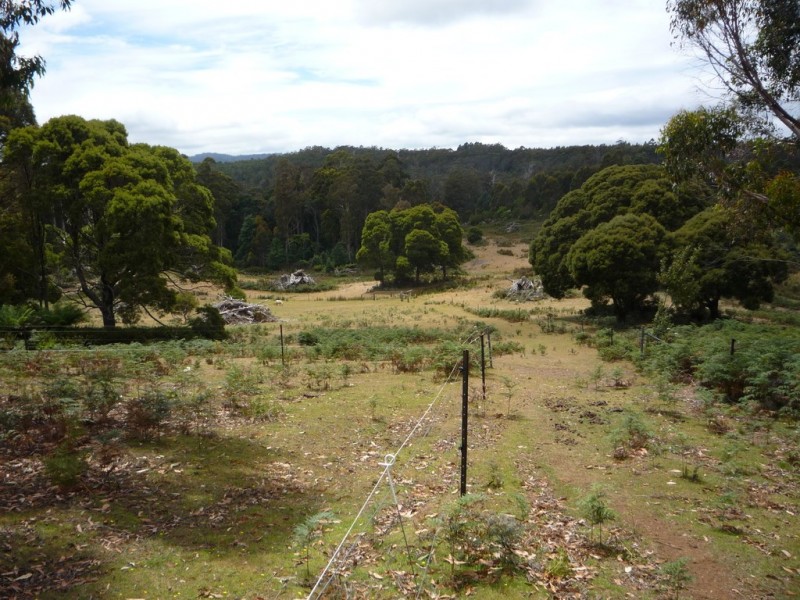 1094 Patersonia Road, Patersonia TAS 7259