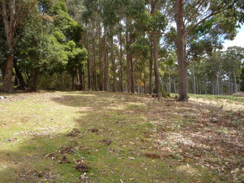 1094 Patersonia Road, Patersonia TAS 7259