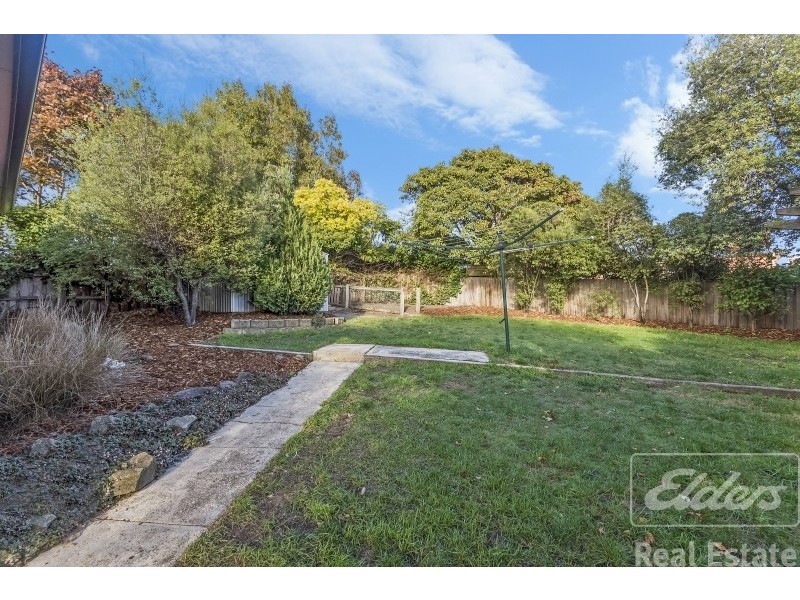 28 Chestnut Road, Youngtown TAS 7249