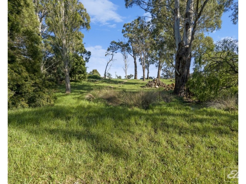 4/126 Hillwood Jetty Road, Hillwood TAS 7252