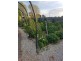 40 Meander Valley Road, Carrick TAS 7291