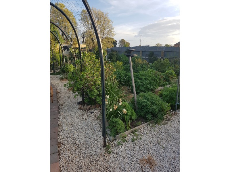 40 Meander Valley Road, Carrick TAS 7291