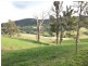 55 Barretts Road, Karoola TAS 7267
