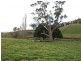 55 Barretts Road, Karoola TAS 7267
