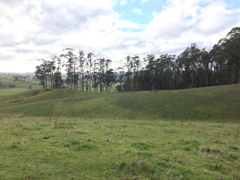 55 Barretts Road, Karoola TAS 7267