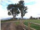 55 Barretts Road, Karoola TAS 7267