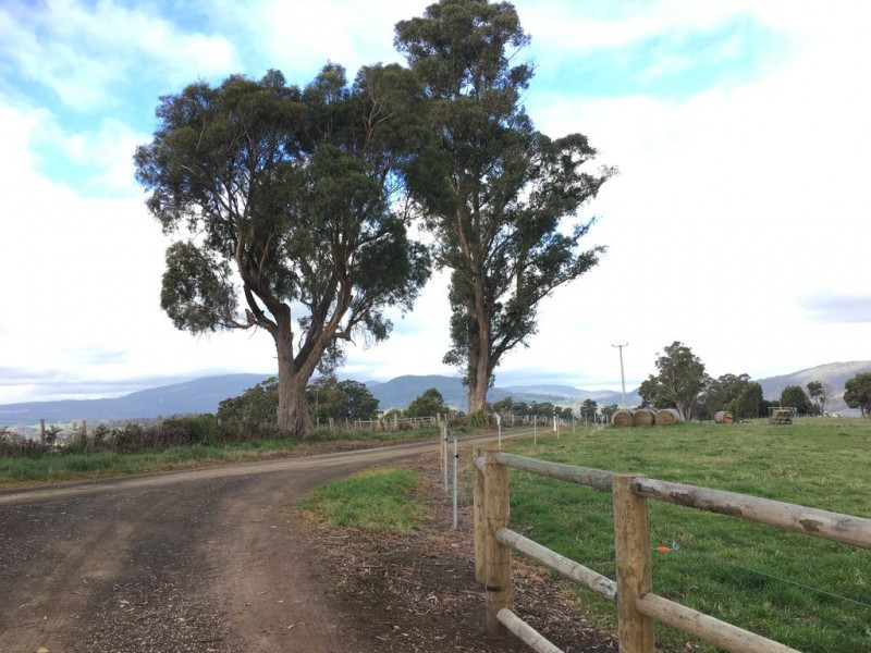 55 Barretts Road, Karoola TAS 7267