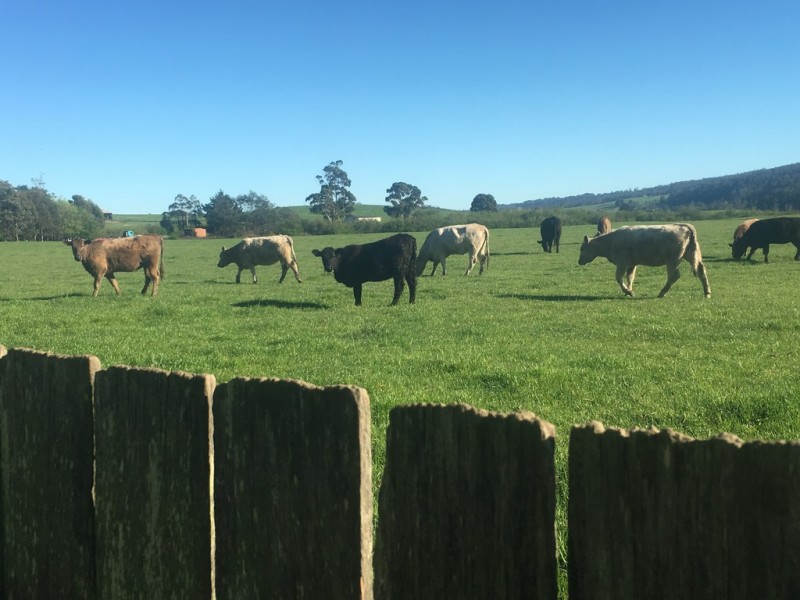 32 Station Road, Lilydale TAS 7268
