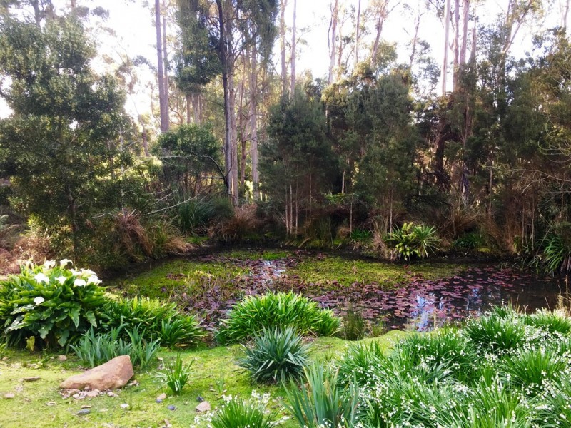 90 Watchorns Road, Karoola TAS 7267