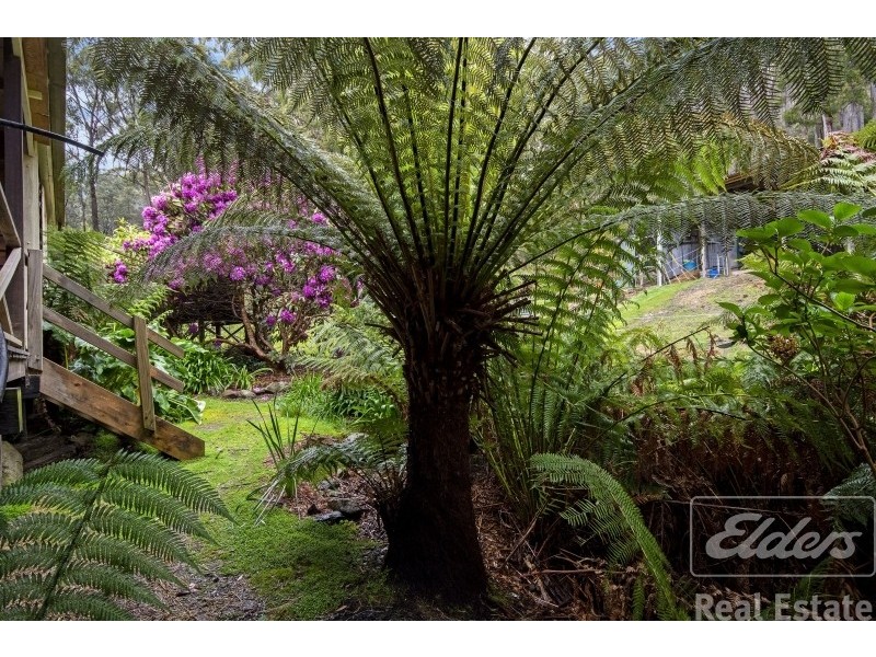 90 Watchorns Road, Karoola TAS 7267