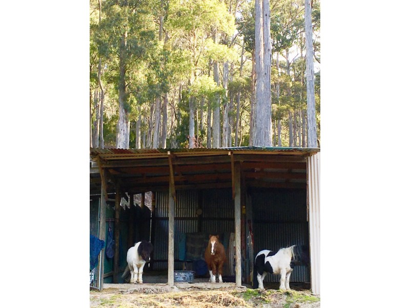 90 Watchorns Road, Karoola TAS 7267