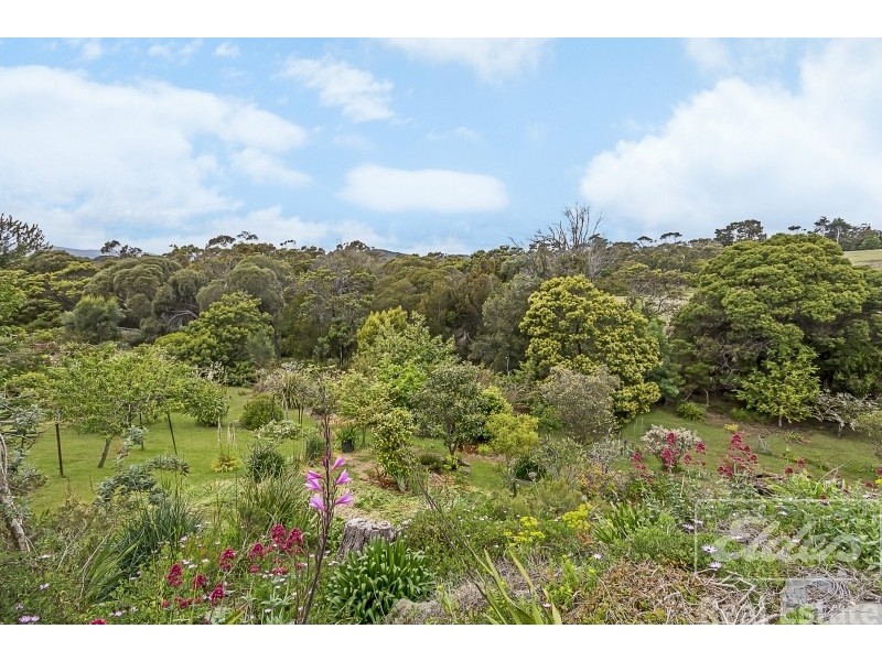 15 Ocean View Drive, Greens Beach TAS 7270