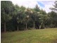 17 Atkinsons Road, Grindelwald TAS 7277